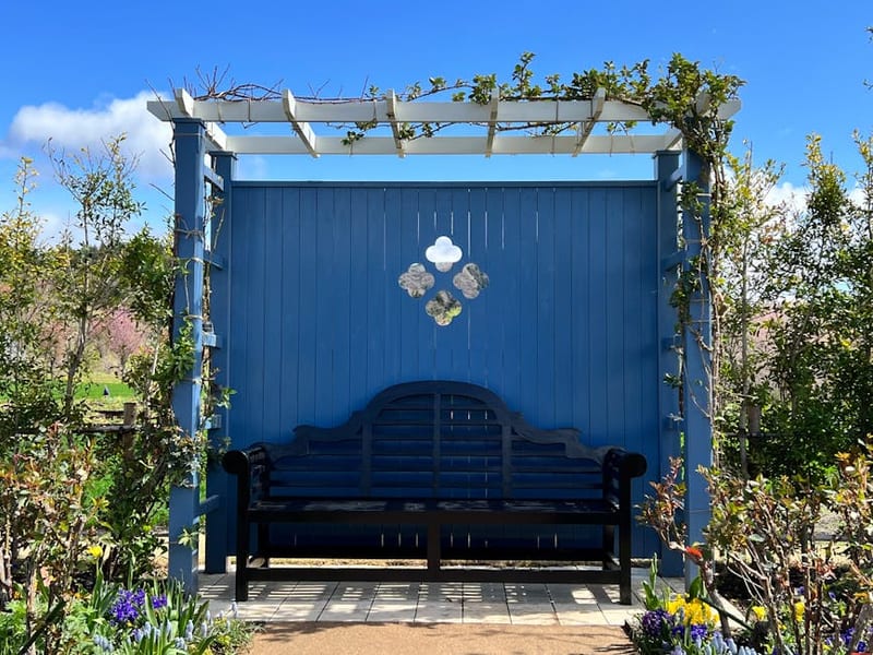 Pergola en bois : installation et entretien